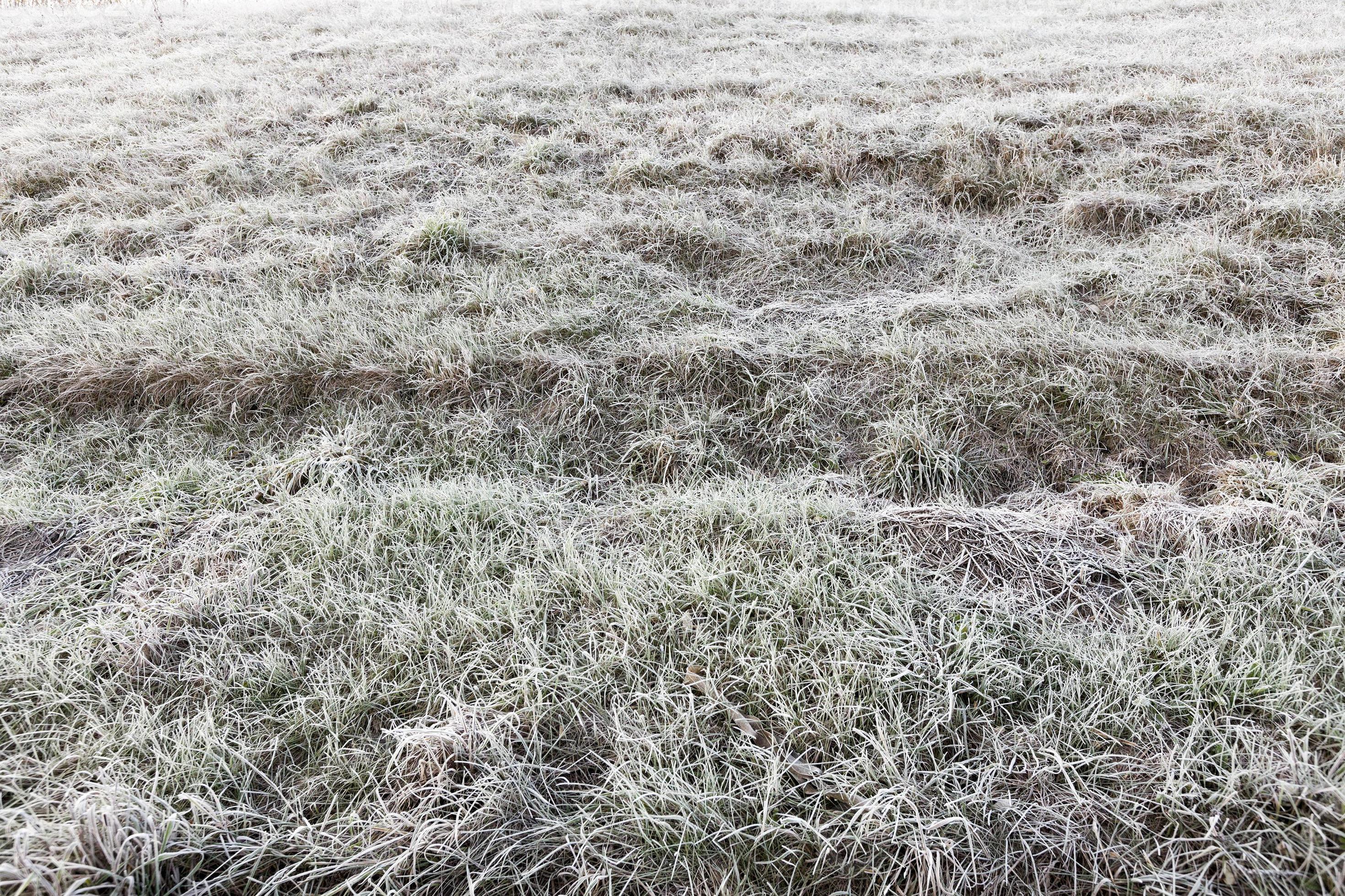 Ohio Frost Line Depth - 1snkvvf