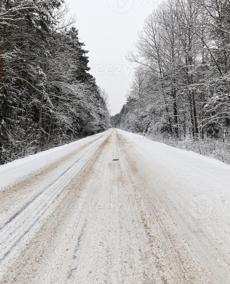 winter road, forest photo