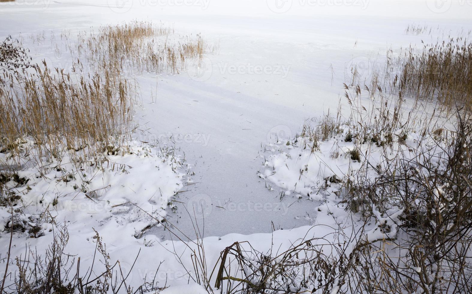 frozen lake, close up photo