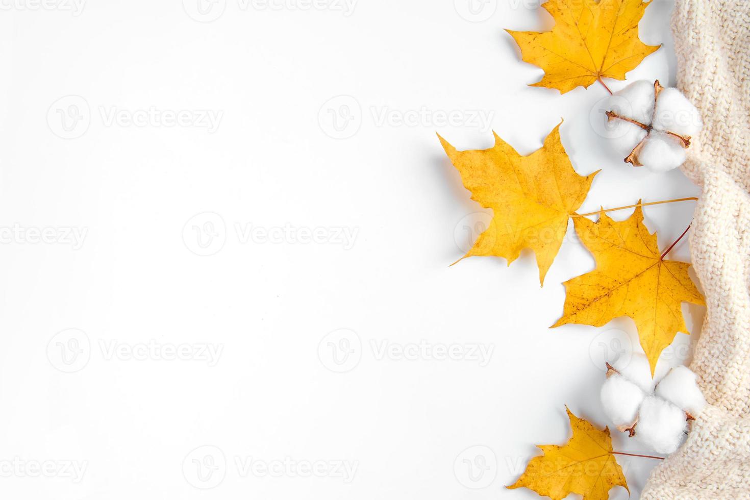 Hola otoño. comienzo de la temporada de otoño. suéter de punto, hojas caídas amarillas y flores de algodón sobre fondo blanco. foto