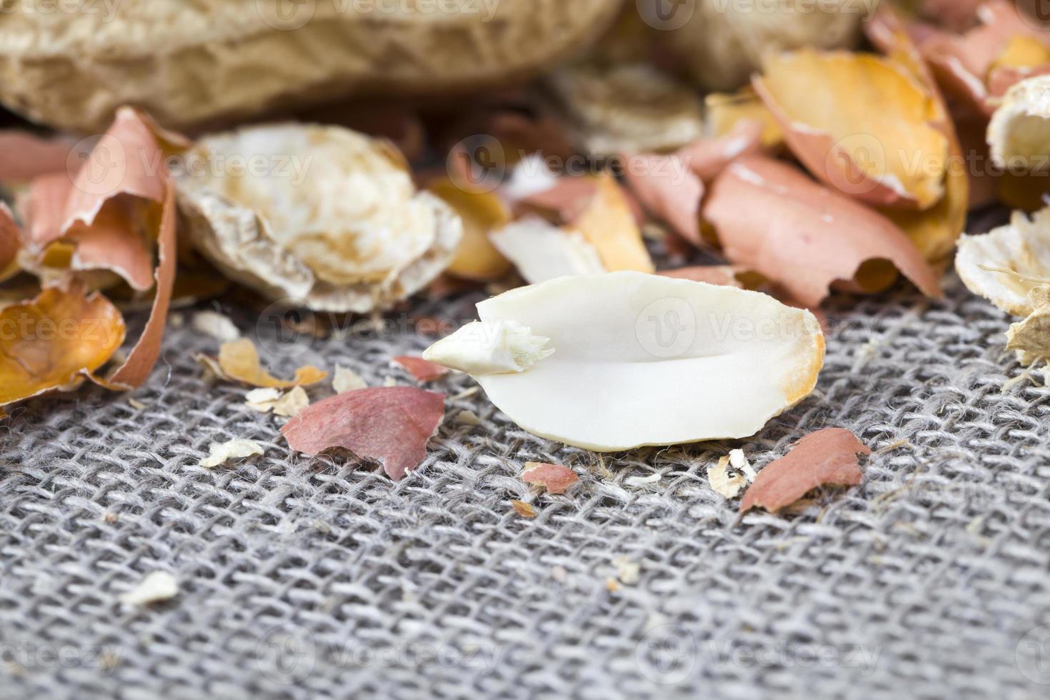 peeled nuts, close up photo