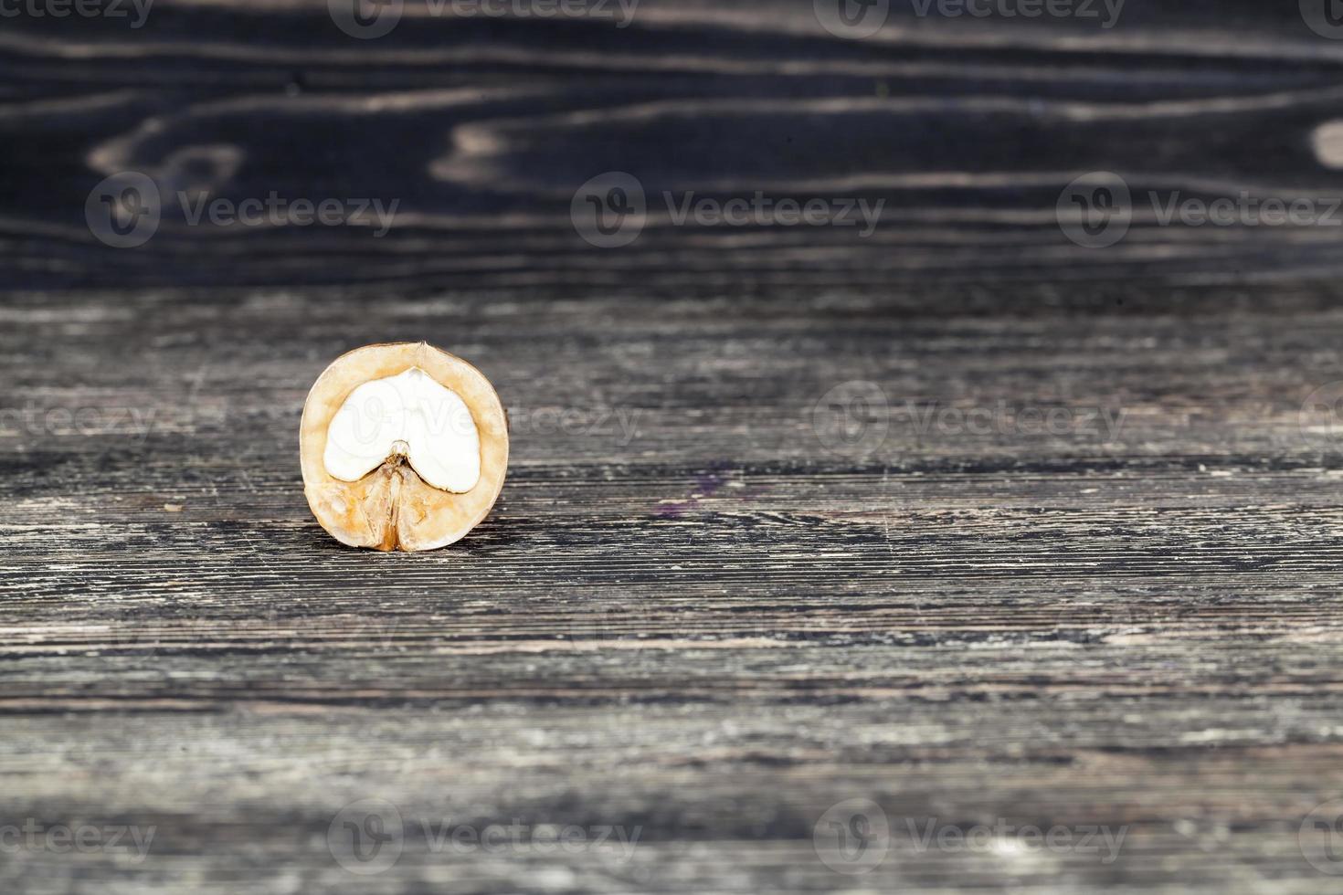 real walnut, close up photo