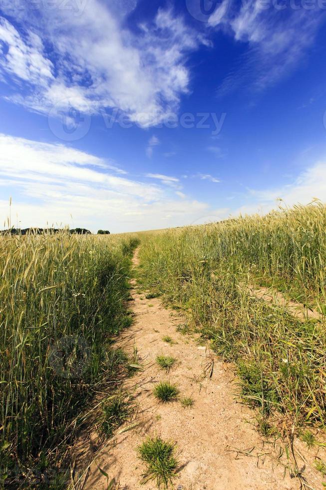 no paved road photo