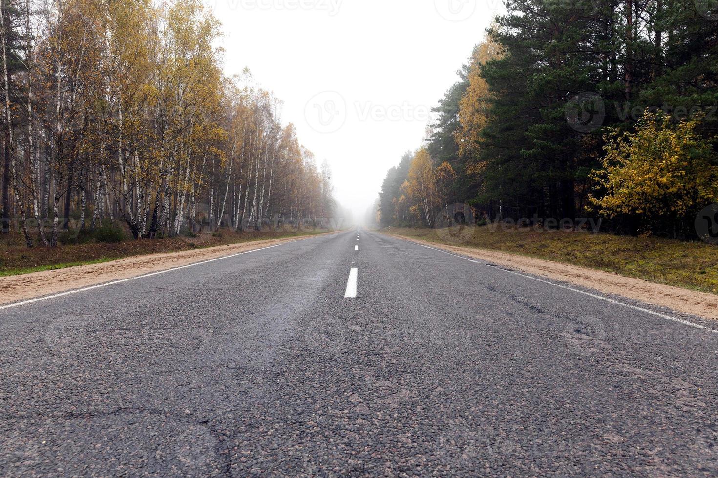 camino de otoño, temporada de otoño durante la caída de la hoja foto