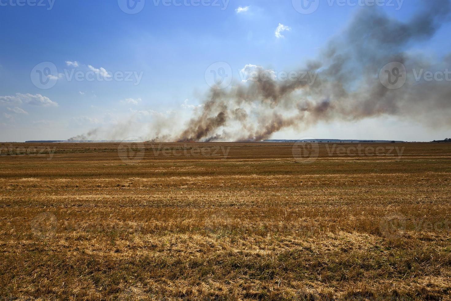 fuego en el campo foto