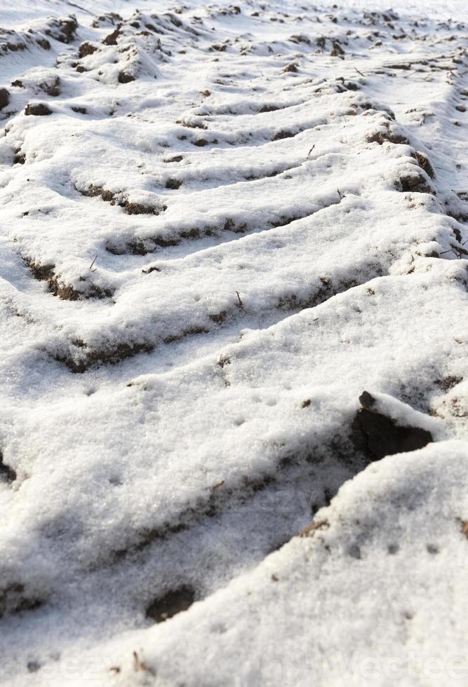 traces of the car on snow photo