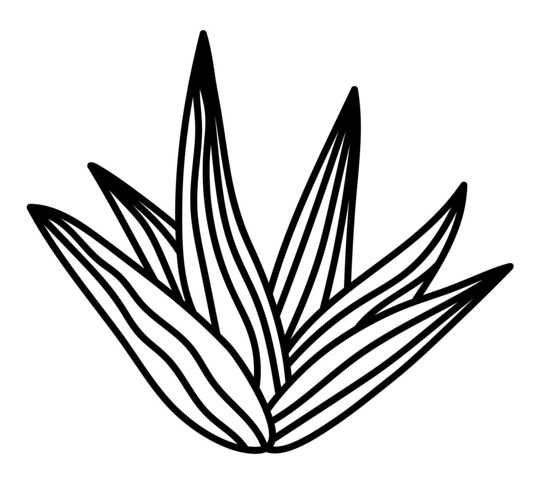 cactus aislado dibujado a mano suculento. vector doodle cactus icono ilustración clipart