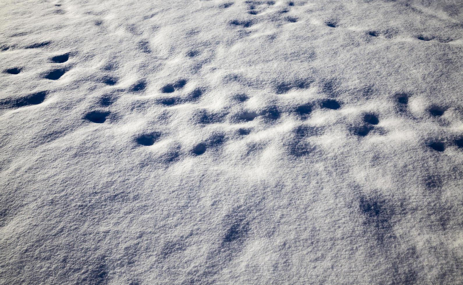 snow drifts, close up photo