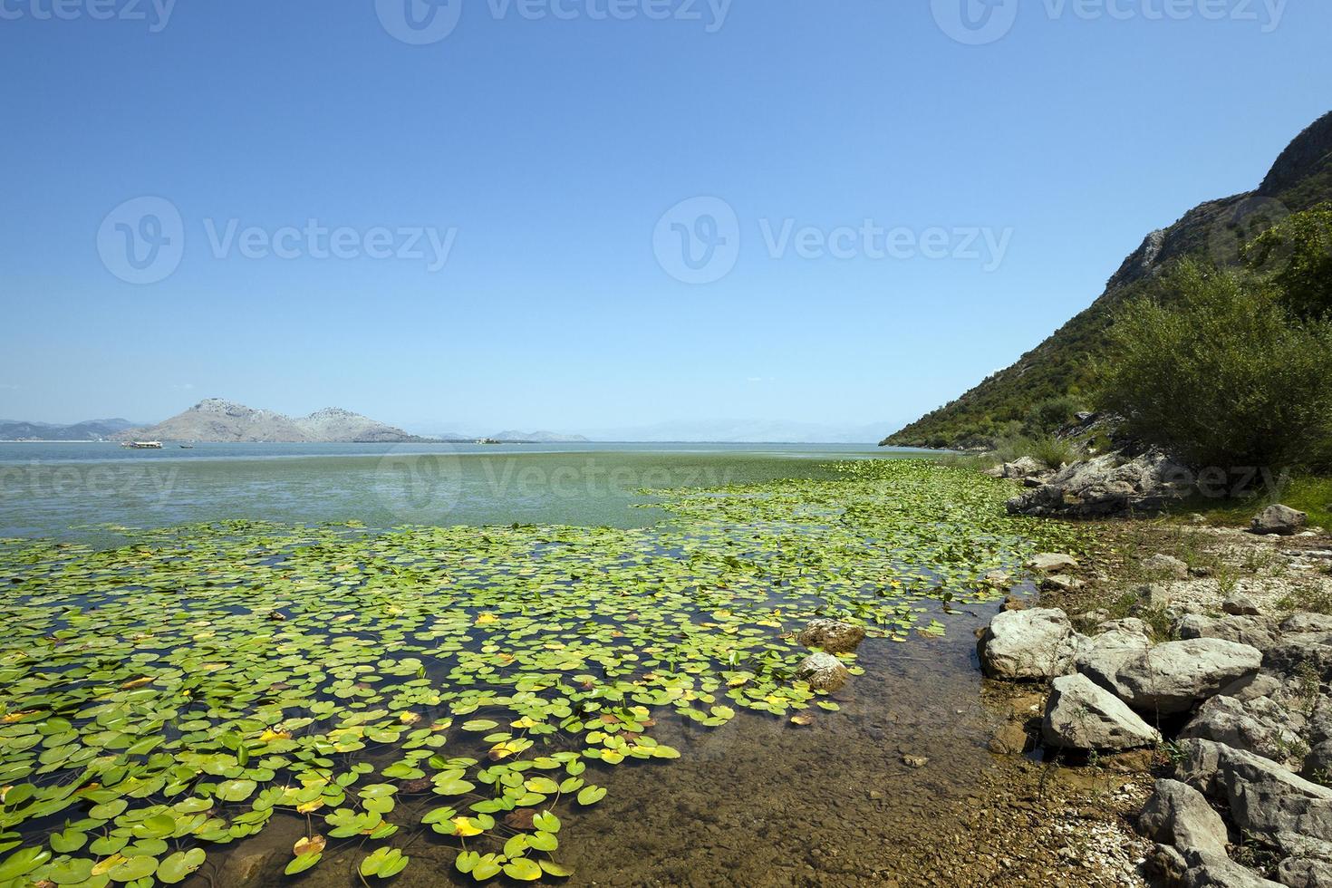 the lake .  Montenegro photo