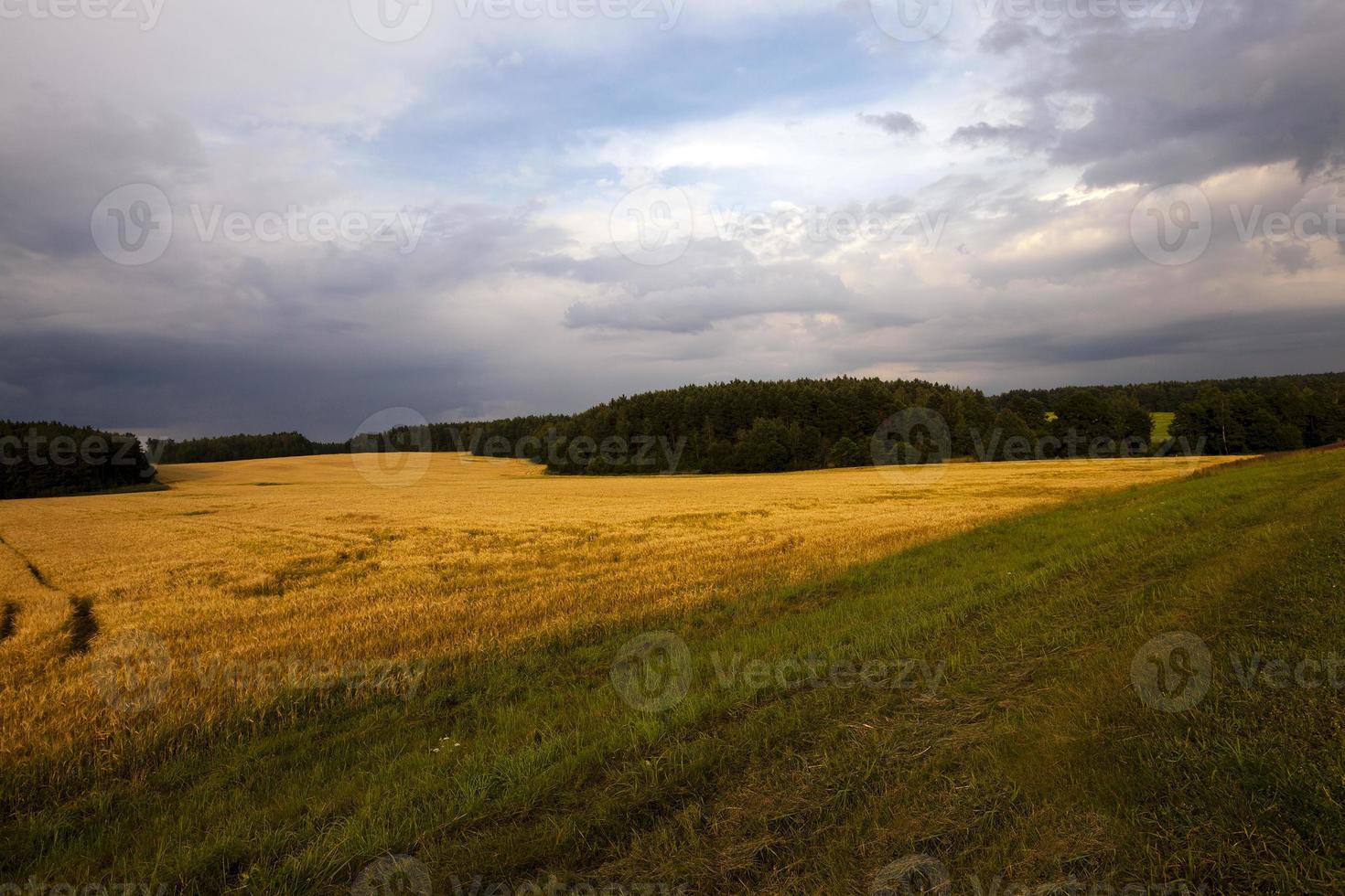 tiempo nublado en un campo foto