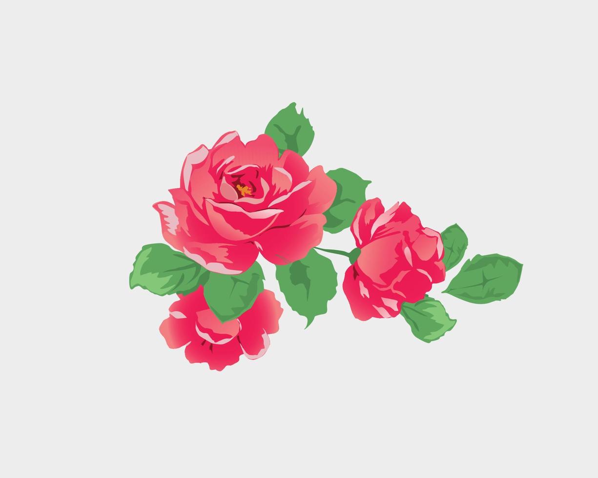 Pink roses symbolize grace admiration gratitude comfort and joy. vector