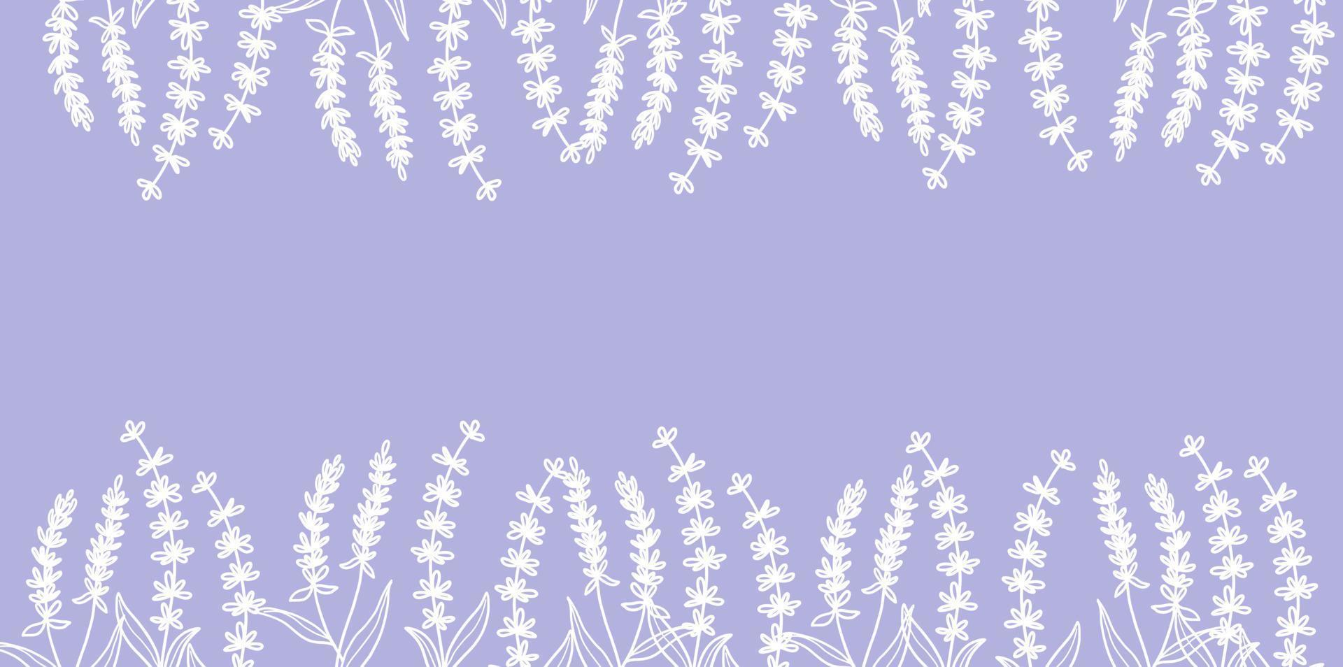 Beautiful background with hand drawn lavender vector