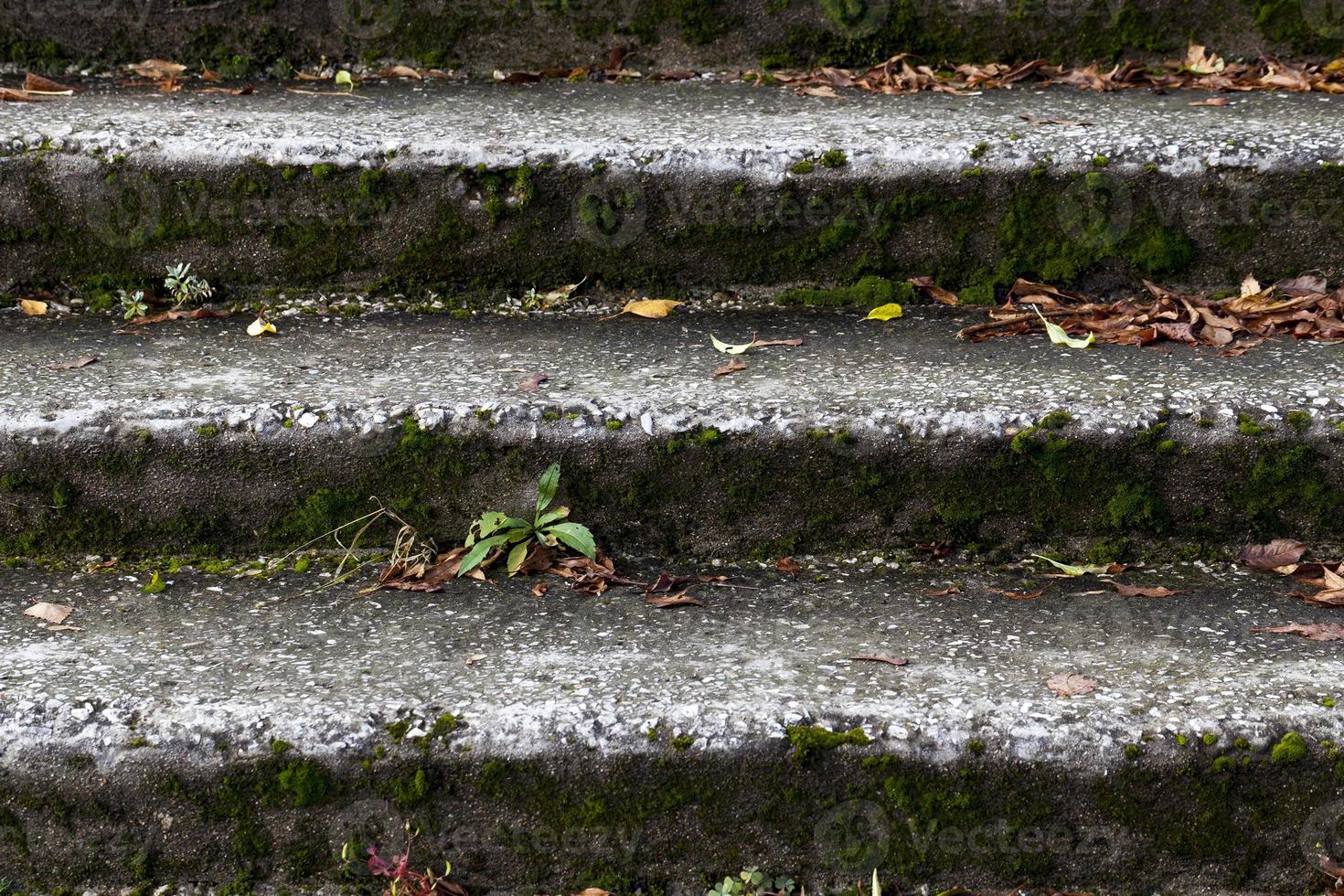 old stairs, close up photo