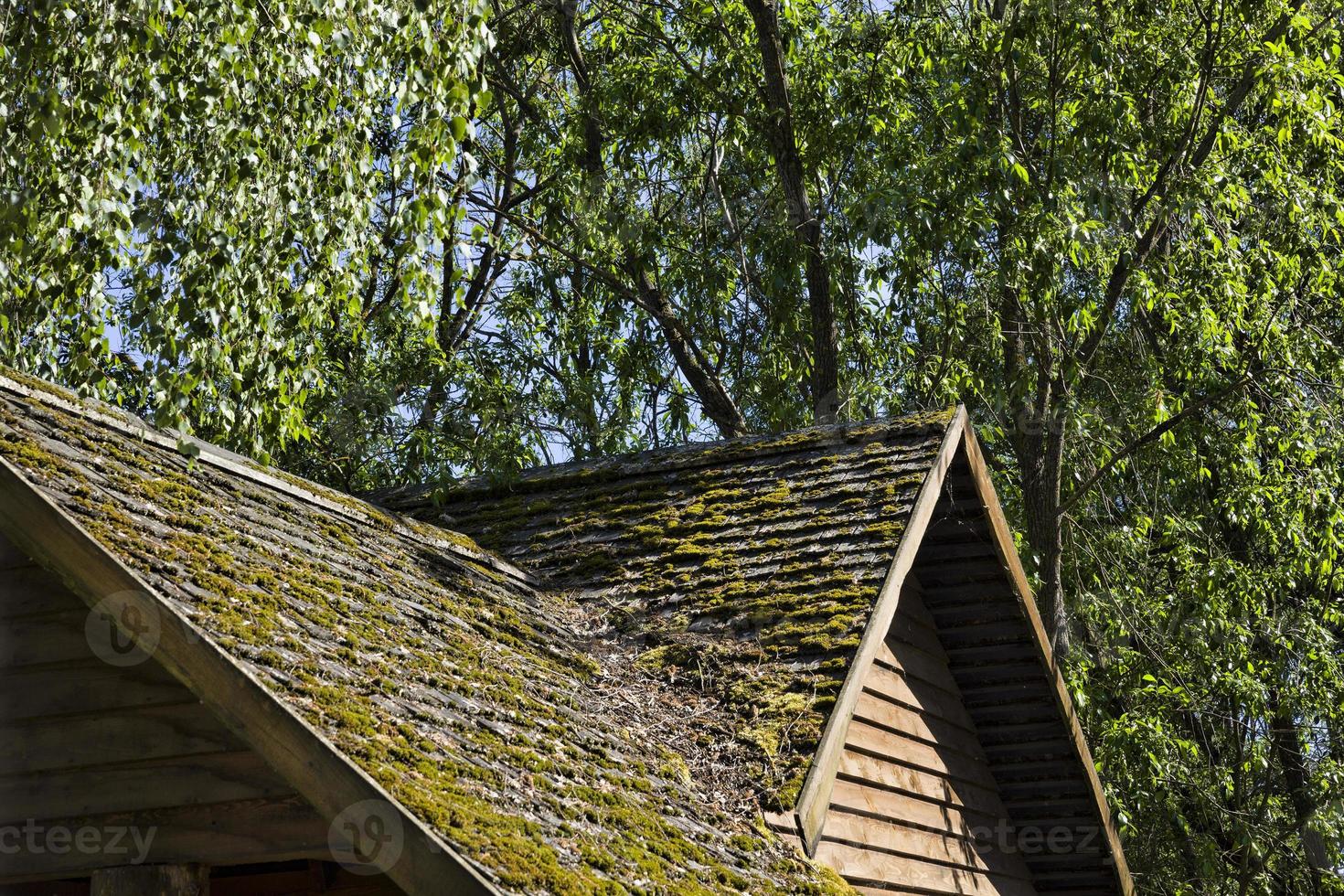 old wooden roof photo