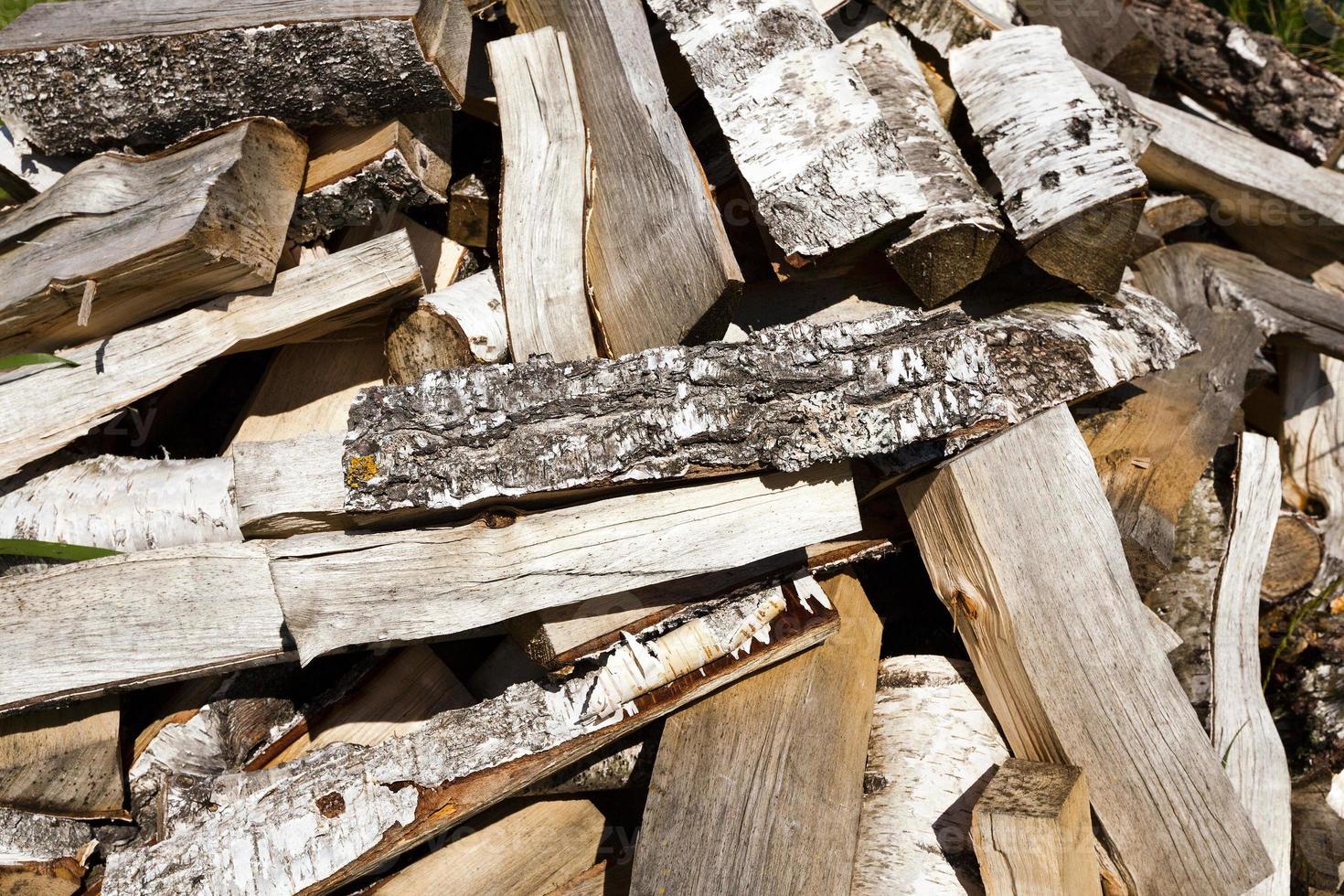 firewood in nature photo