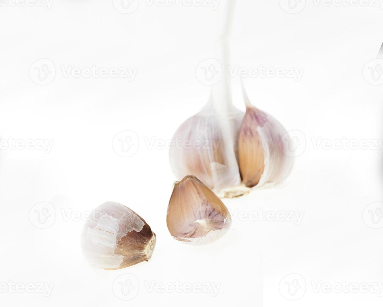 cloves of garlic photo