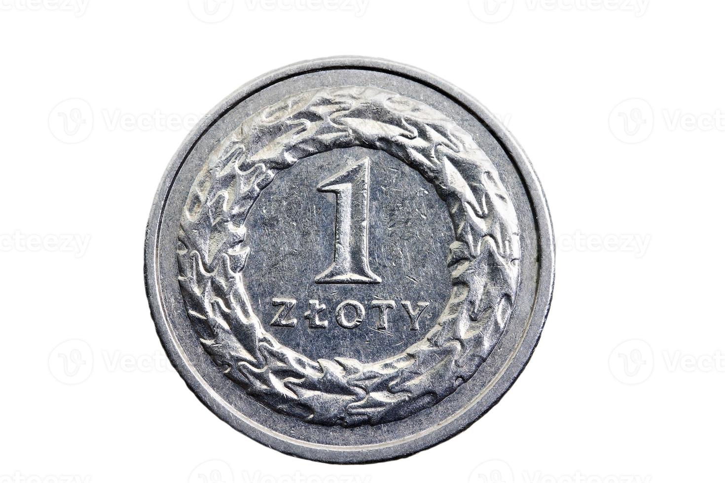 one Polish zloty, isolated photo