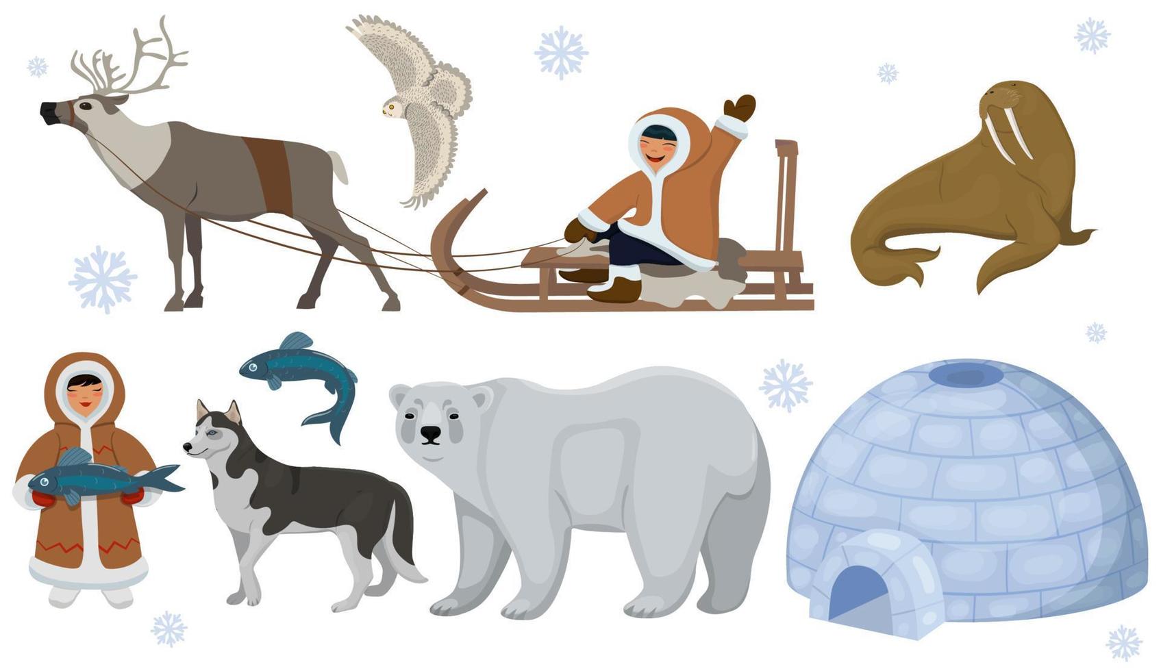 conjunto de esquimales étnicos con animales polares. búho polar, oso, morsa, ciervo. ilustración vectorial aislado sobre fondo blanco. vector