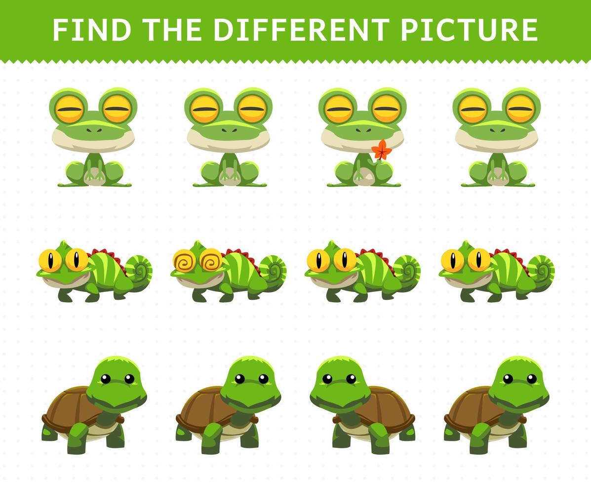 Education game for children find the different picture in each row cute cartoon frog iguana turtle vector