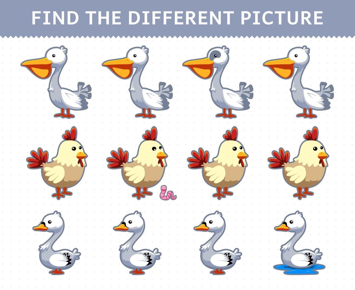 juego educativo para niños encuentra la imagen diferente en cada fila dibujos animados lindo pelícano pollo cisne vector