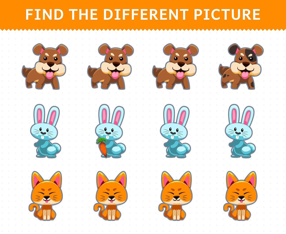 Education game for children find the different picture in each row cute cartoon dog rabbit cat vector