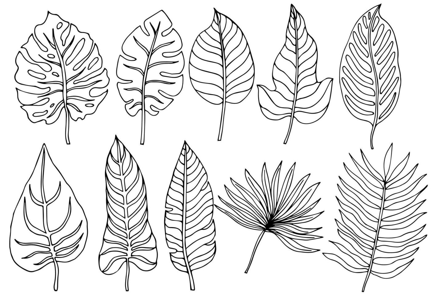 hojas de palma tropical en estilo boceto, ilustración vectorial aislada. hoja de palmera en estilo de garabato lineal. impresión botánica minimalista de hojas exóticas, diseño de bocetos. vector