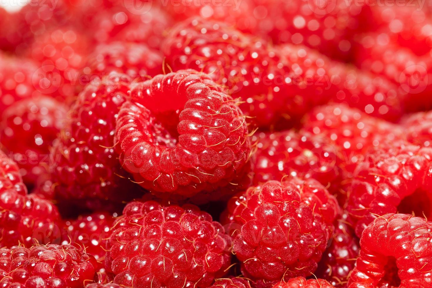 raspberry close up photo