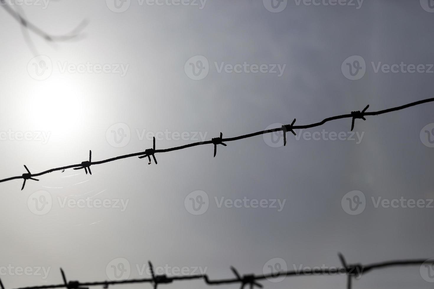 barbed wire, close-up photo