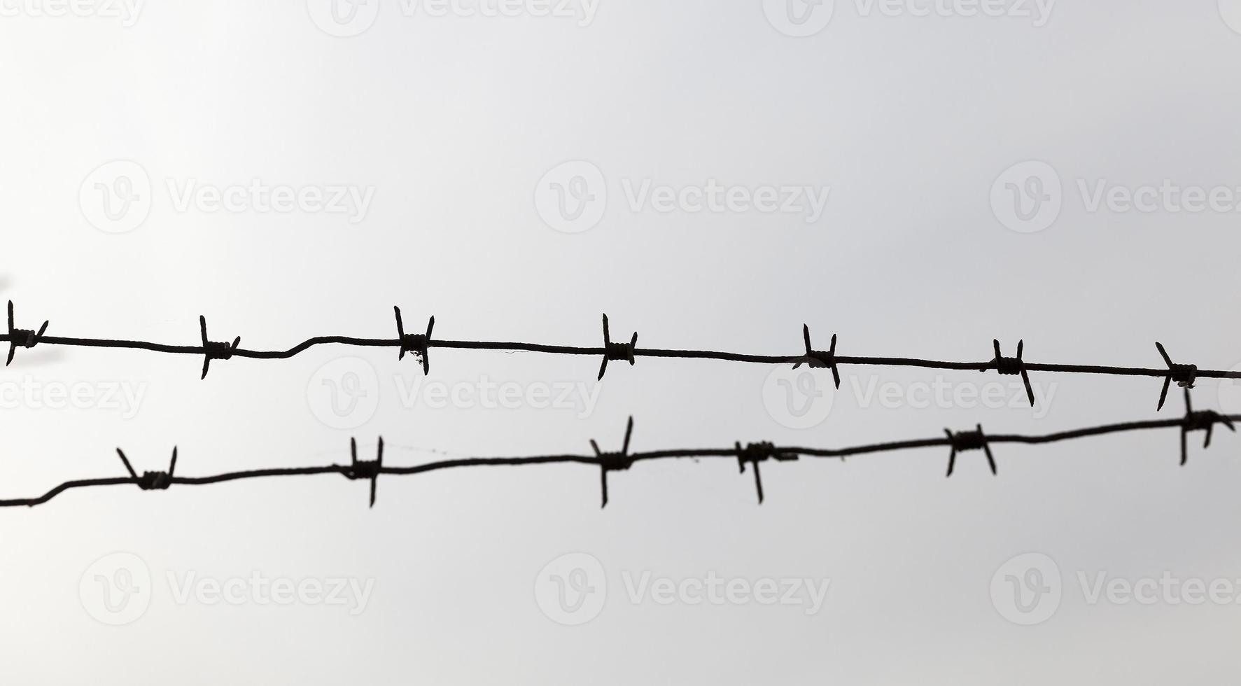 barbed wire, close-up photo
