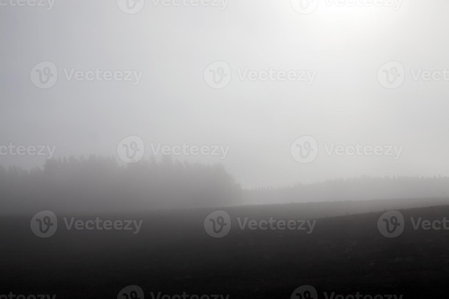 Fog in autumn season photo