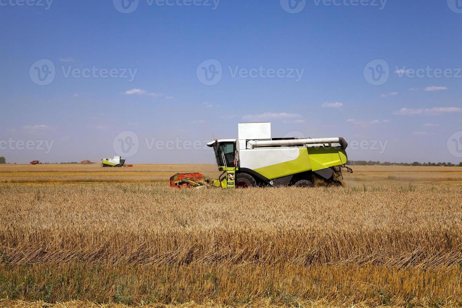 cosechadora en el campo foto