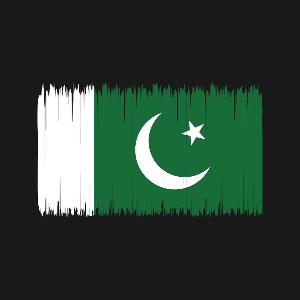 Pakistan Flag Brush. National Flag vector