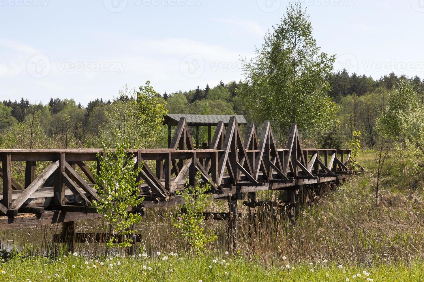 wooden bridge, close up photo