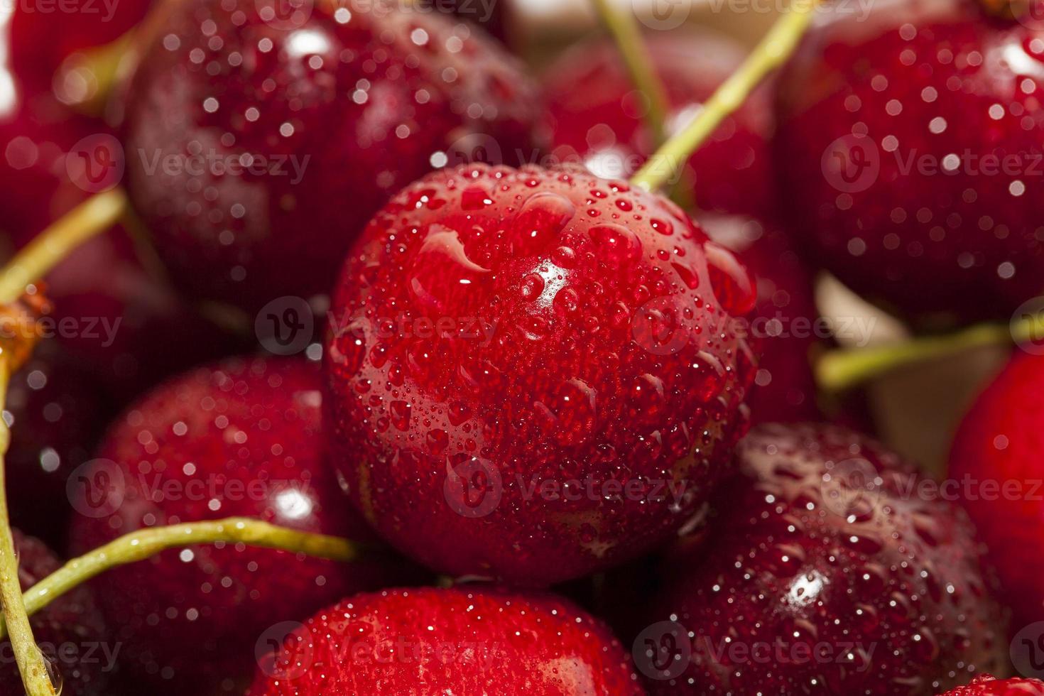 cereza roja madura foto