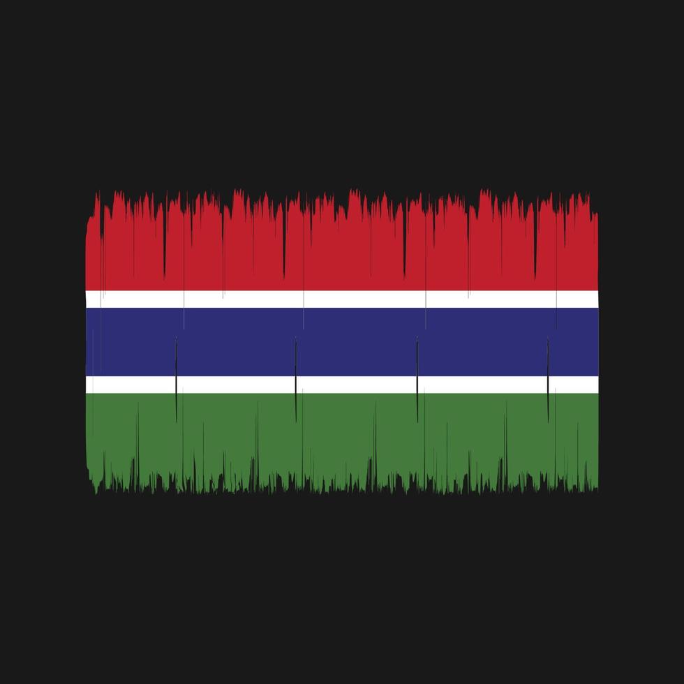 pincel de bandera de gambia. bandera nacional vector