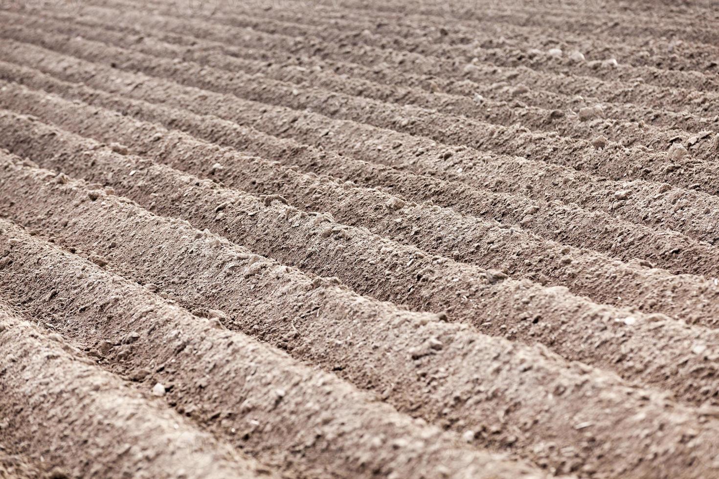 plowed field, furrows photo