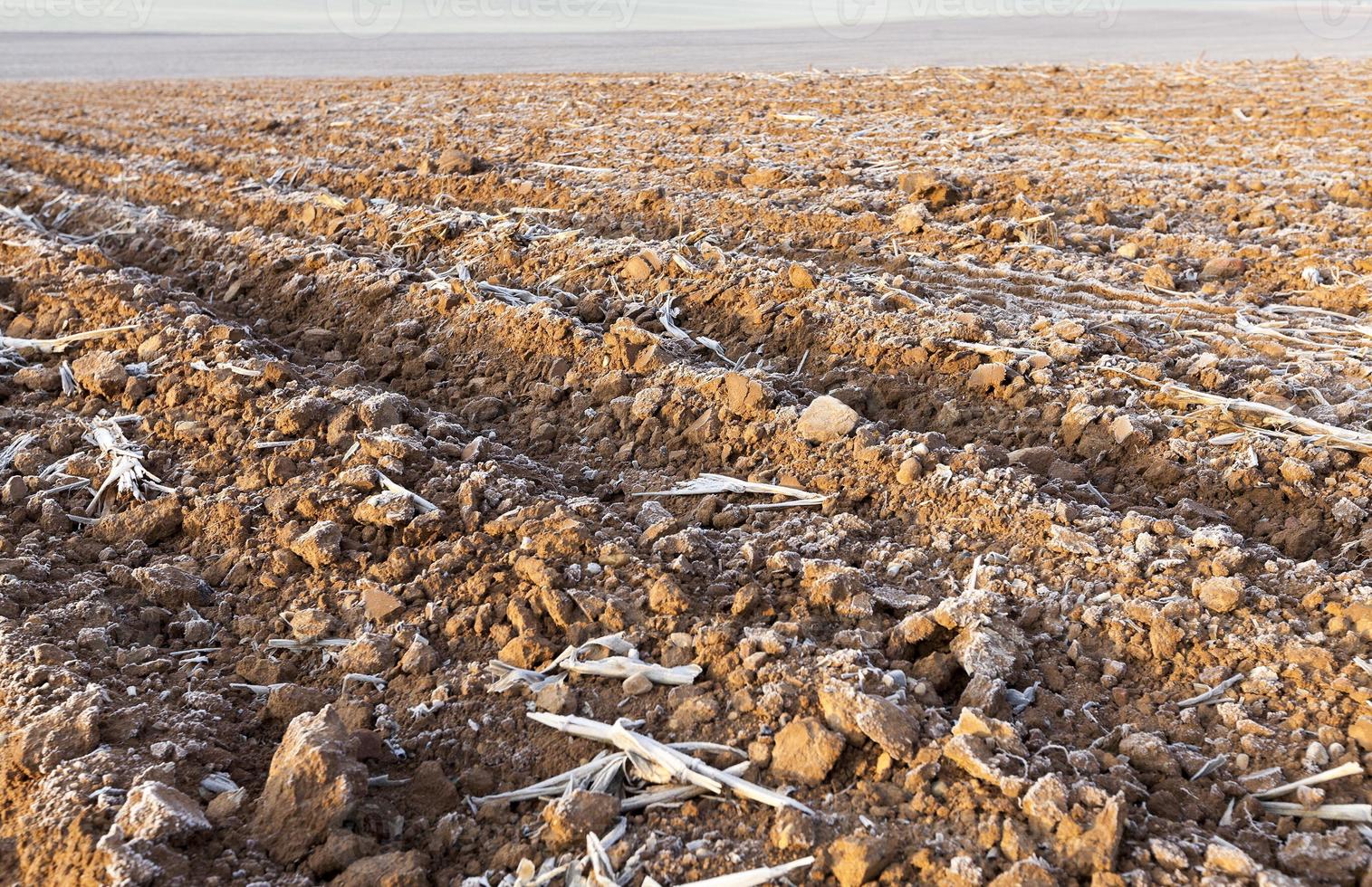 plowed land, frost photo