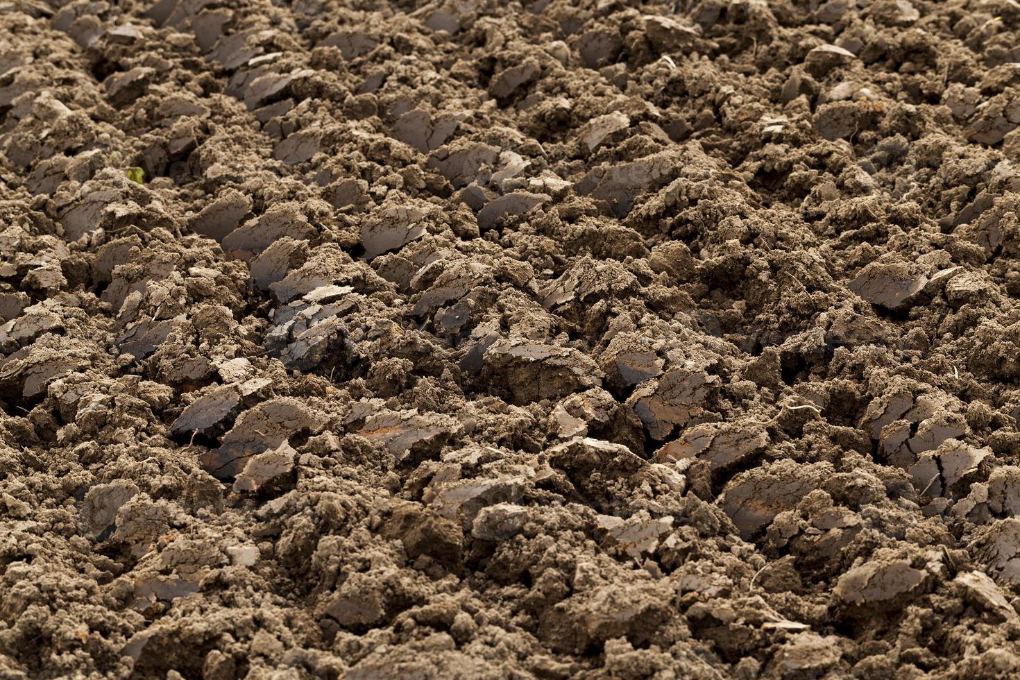 plowed agricultural field photo