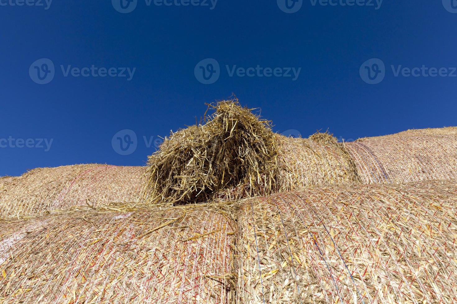 stacked straw, close up photo