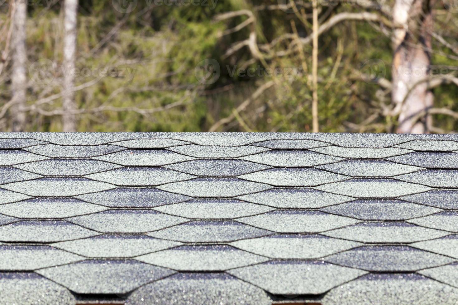 green roof, close up photo