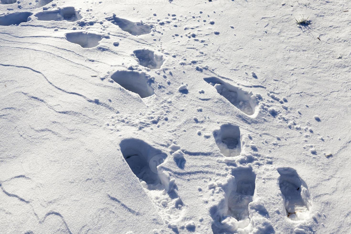 Snow drifts in winter photo