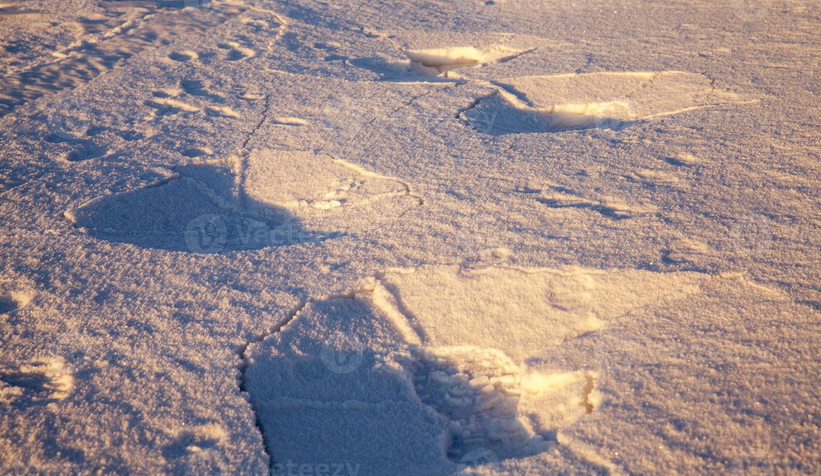 superficie de nieve, primer plano foto