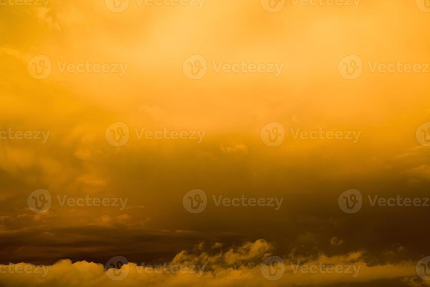 bright sunlight, close up photo