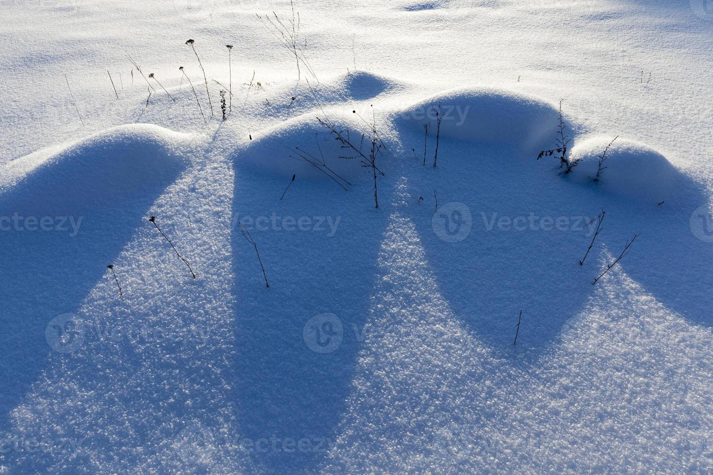 snowdrifts in the winter season photo