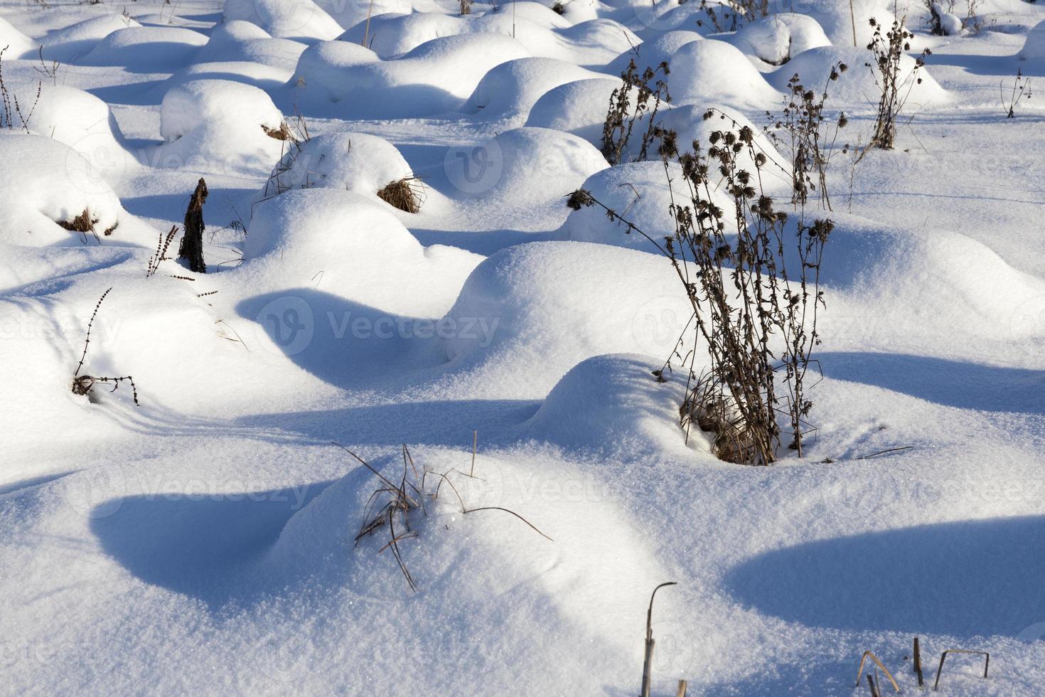 snowdrifts after snowfall in winter photo