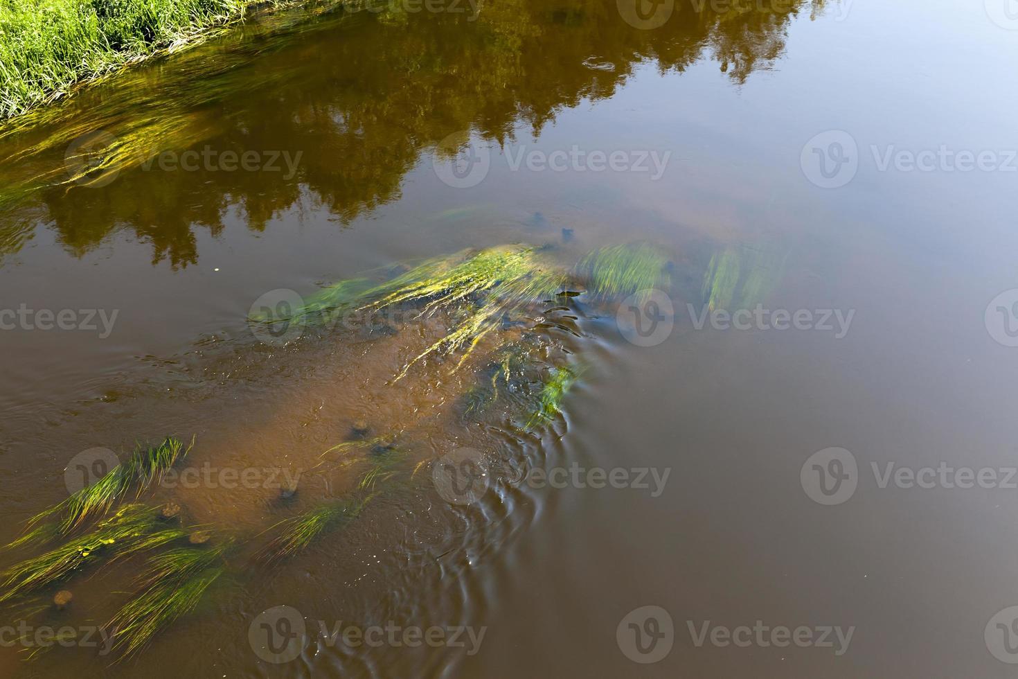 water in the river in autumn photo