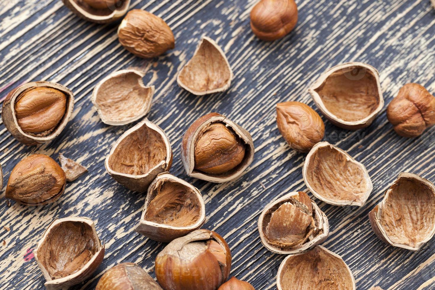 split hazelnuts on the table photo