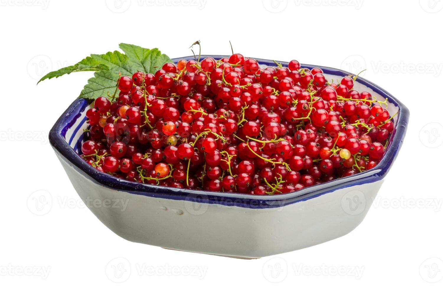 Red currant in a bowl on white background photo