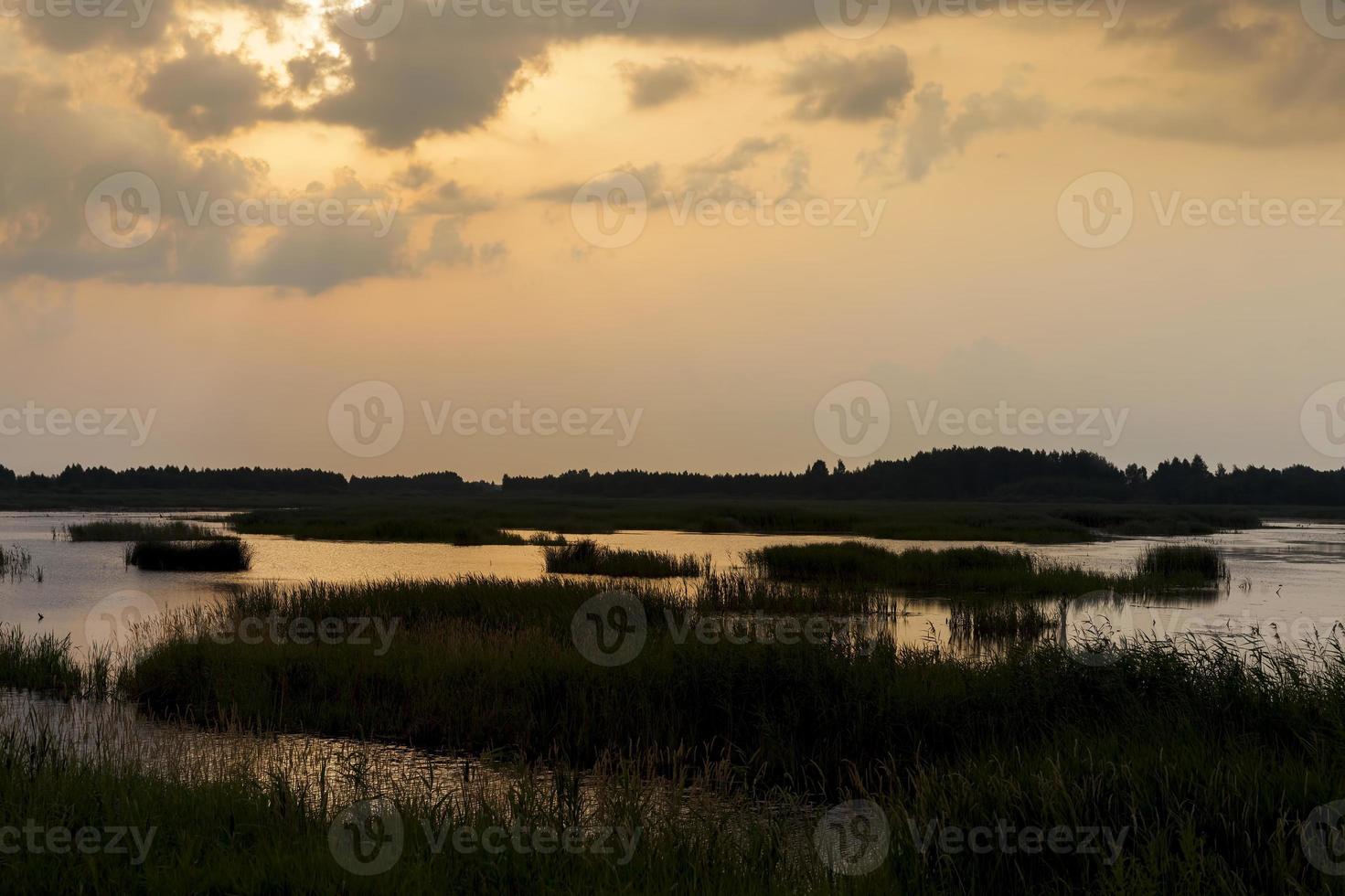 lago con plantas al atardecer, reflejo en el lago foto