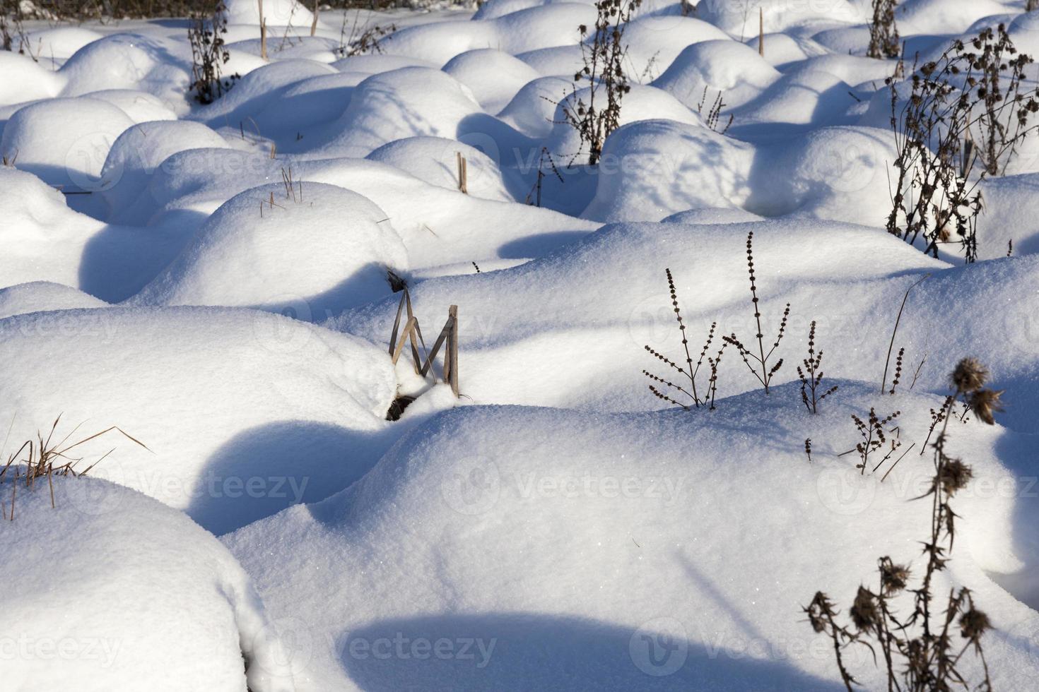 snowdrifts after snowfall in winter photo